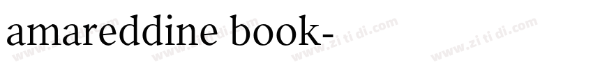 amareddine book字体转换